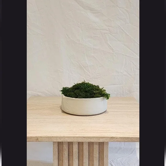 HANDMADE Preserved Moss Bowl Centerpiece